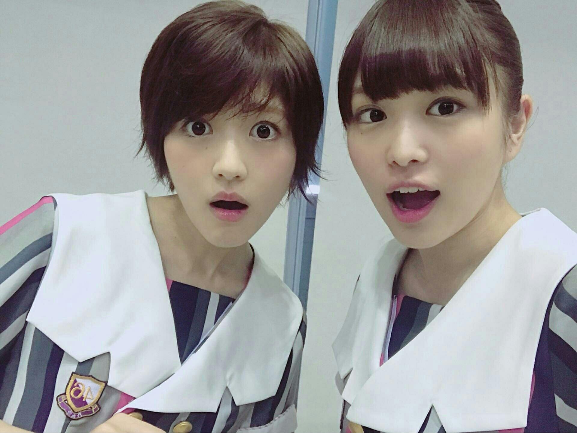 ๆ็จฟ็ปๅ