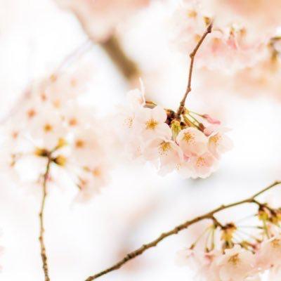 五月女和代のトーク