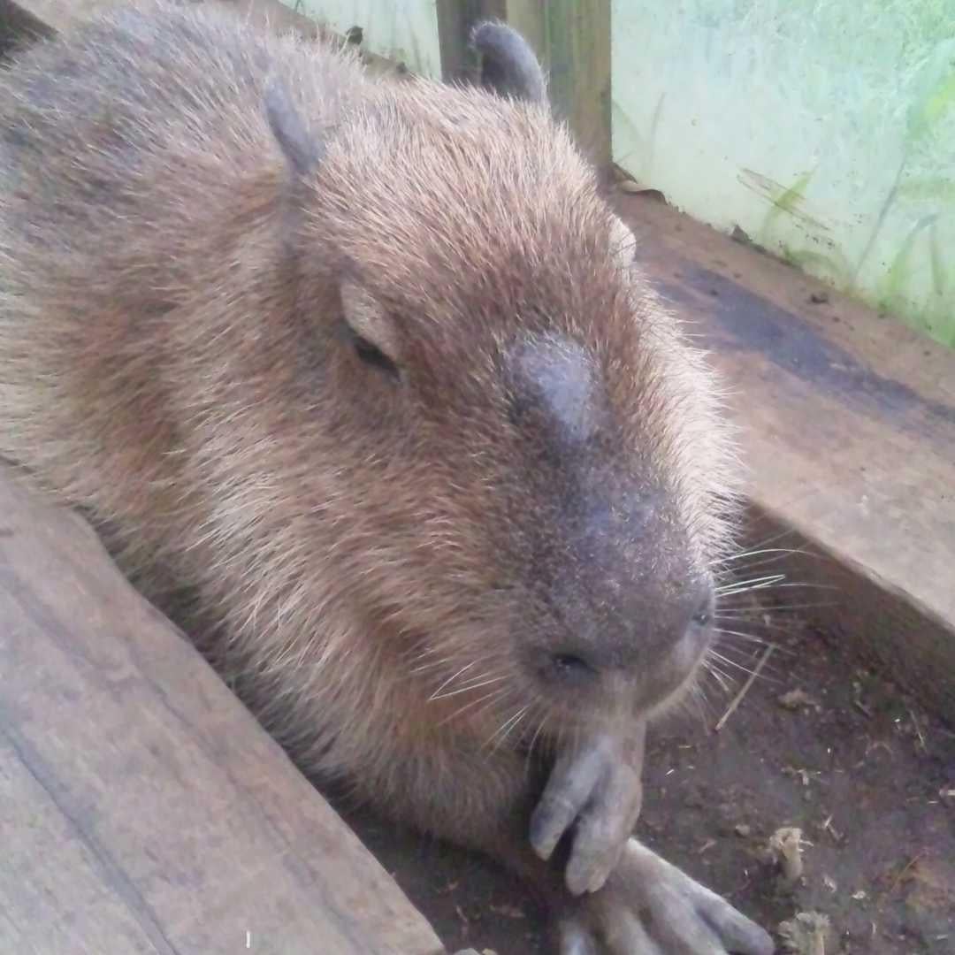 なおちん