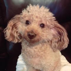 モカ☆★のトーク