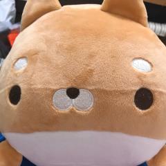 ひろきー