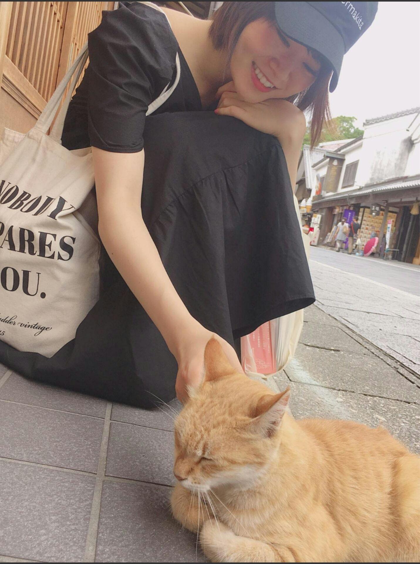 ๆ็จฟ็ปๅ