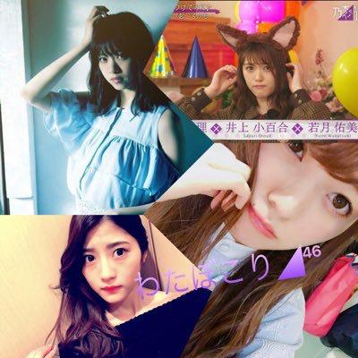 わたぼこり◢⁴⁶