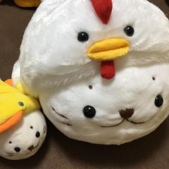 ぴよ