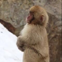 新設診察室視察