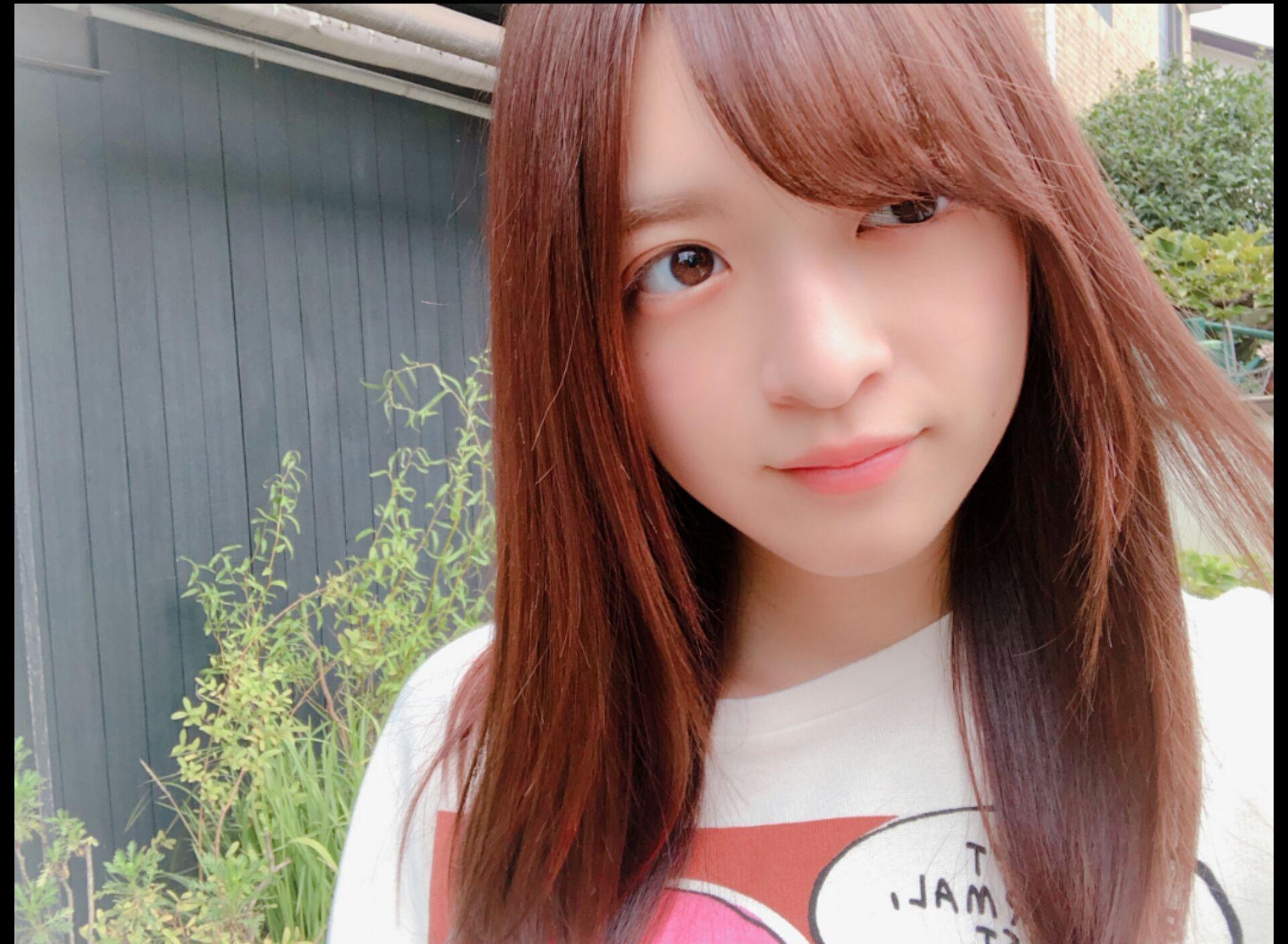 ๆ็จฟ็ปๅ