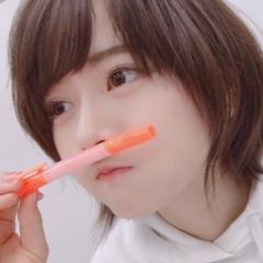 すずぽん