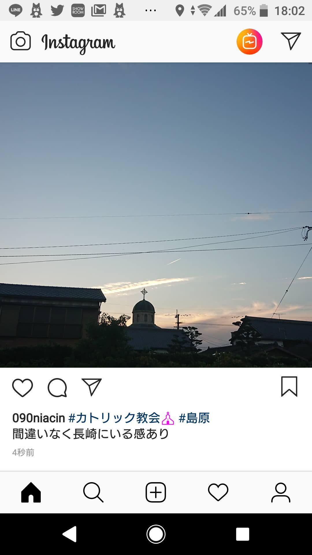 投稿画像
