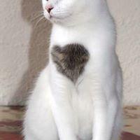 Takahiro Tomiokaのトーク