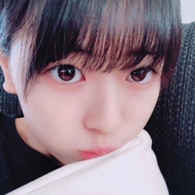 蓮加推しの虎党