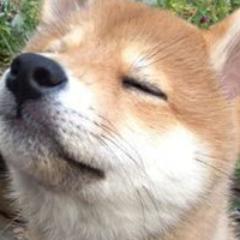 mogri0630@ みう団