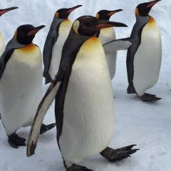 あんあつのトーク