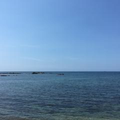 宮さん