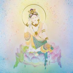 風水・紫微斗数占術 明石茉叉