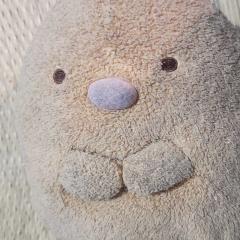 ☺こうちゃん☺(俺の分身➡️☺)