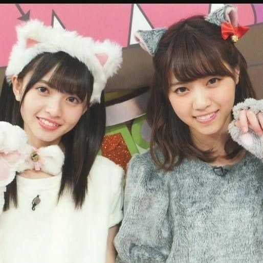 藏谷暖生