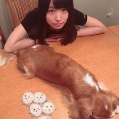 ふじもんのトーク