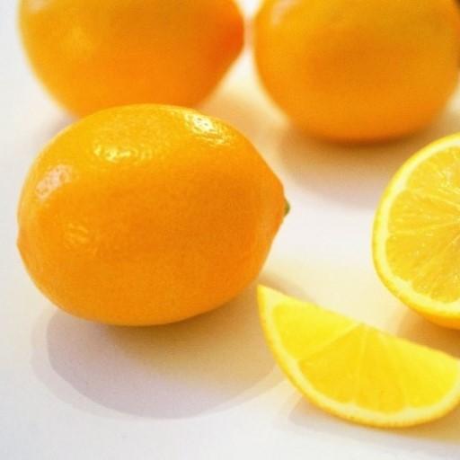 MinamiGoGoリトック専用