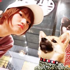 つばさ