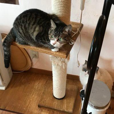 バビロンのトーク