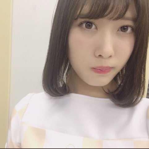 たいが