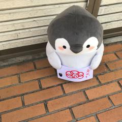 ノジ🐤
