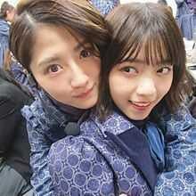 乃木坂好きな人と話したい