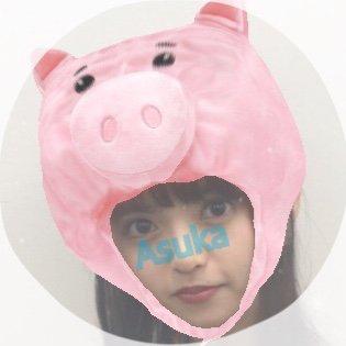 の の 🐨 せんばつちゅう