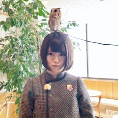 ちゃんまお◢のトーク