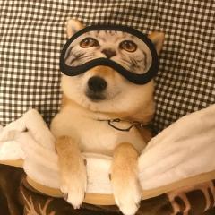 1101