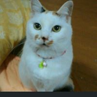 Hiromi Ogiharaのトーク