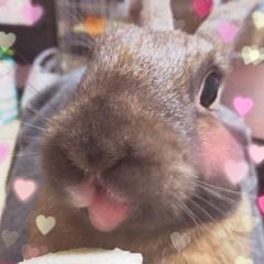 じゅわっち