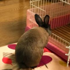 じゅわっちのトーク