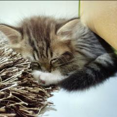 何でもいい(≧∇≦)b