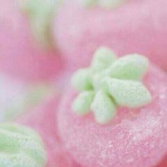 写真のリトーク