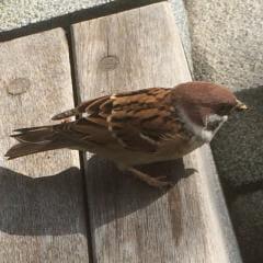 💕Shin♪のアイドルファンひとりごとノート