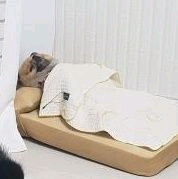 사토미나미のトーク