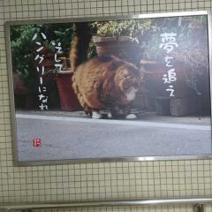 100打点カルテット