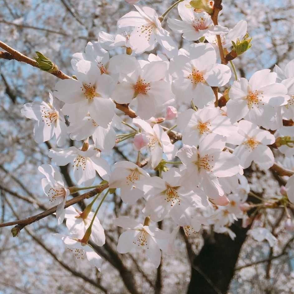 Tomoの気まぐれトーク