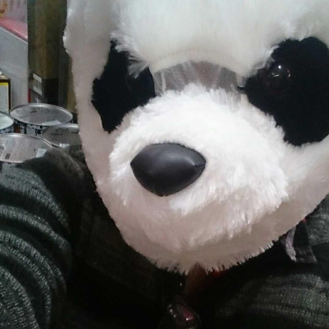もすら