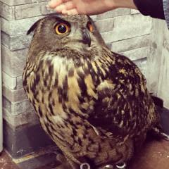 ゆーごのトーク