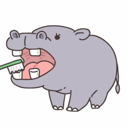 カバちゃん(￣･･￣)