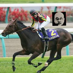 NMBヲタが総選挙資金を競馬etc.で稼ぐ為に日々奔走する部屋