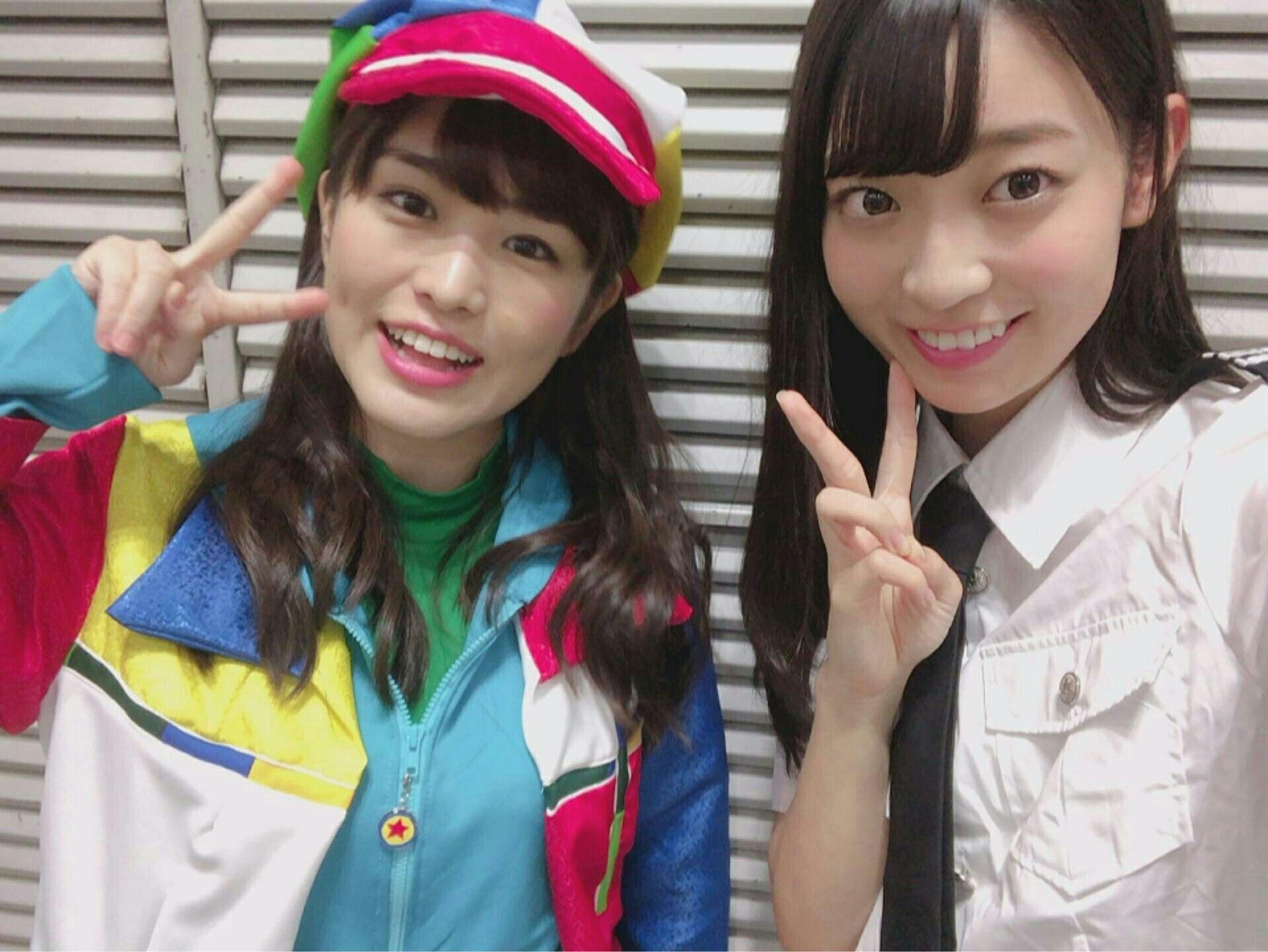 ๆ็จฟ็ปๅ