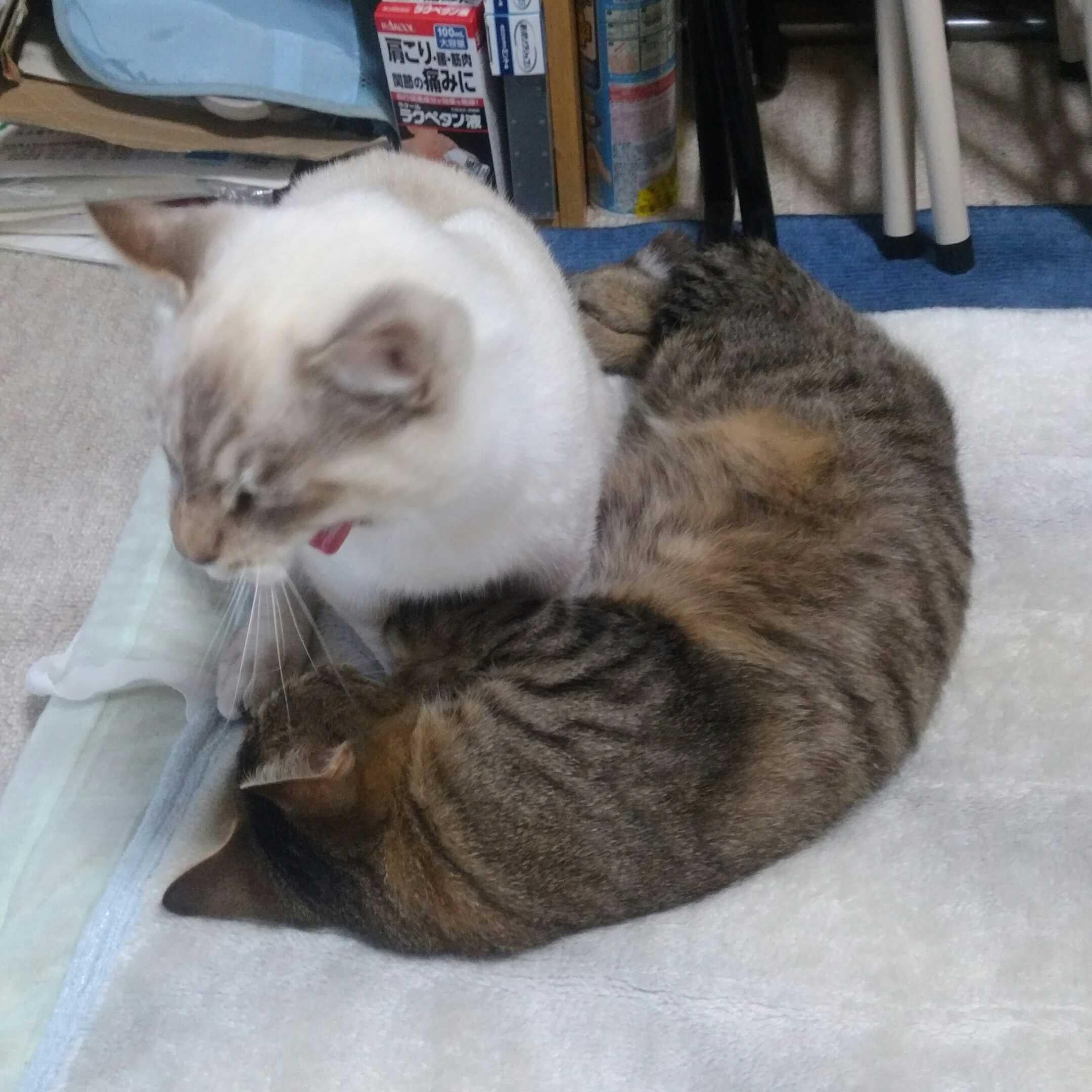 🌏シ～ズ～ン5🌏