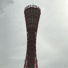 スナメリ