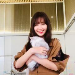 ゆかぴよ(бвб)