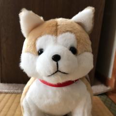 機材改め木材くん