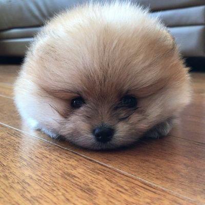 ひろとひろとひろと