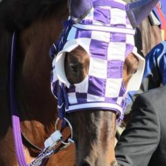 じんじんのトーク